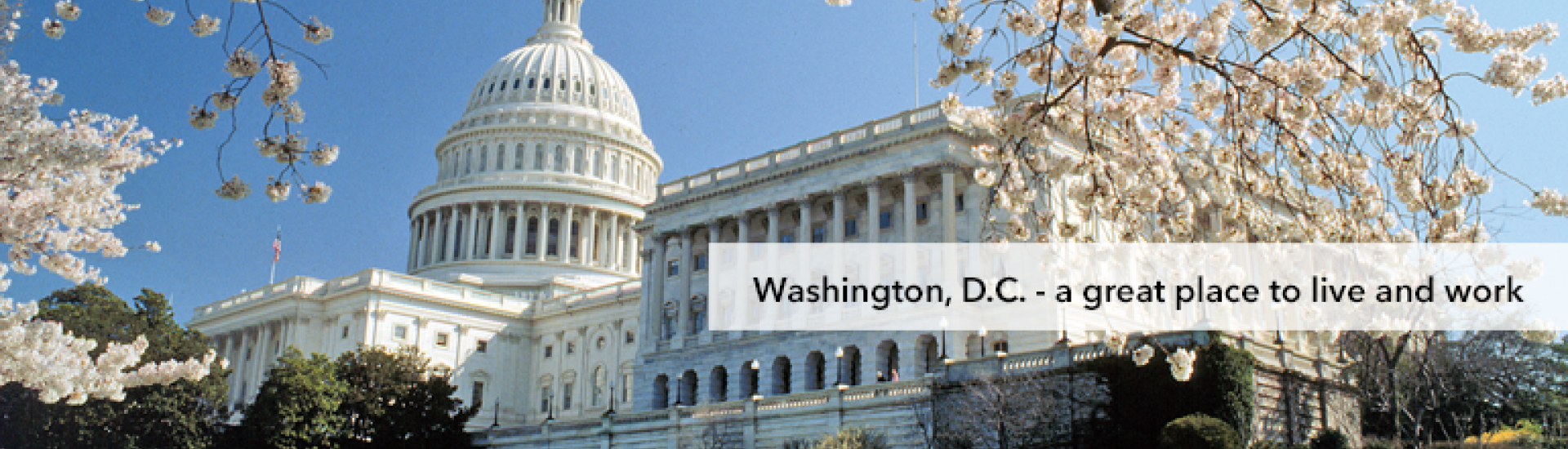 Current Residents, Internal Medicine Residency, Washington, DC